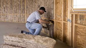 Best Wall Insulation Installation  in Ridgefield Park, NJ